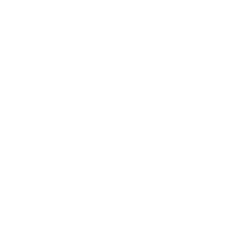 SKY LOTUS 企业标志